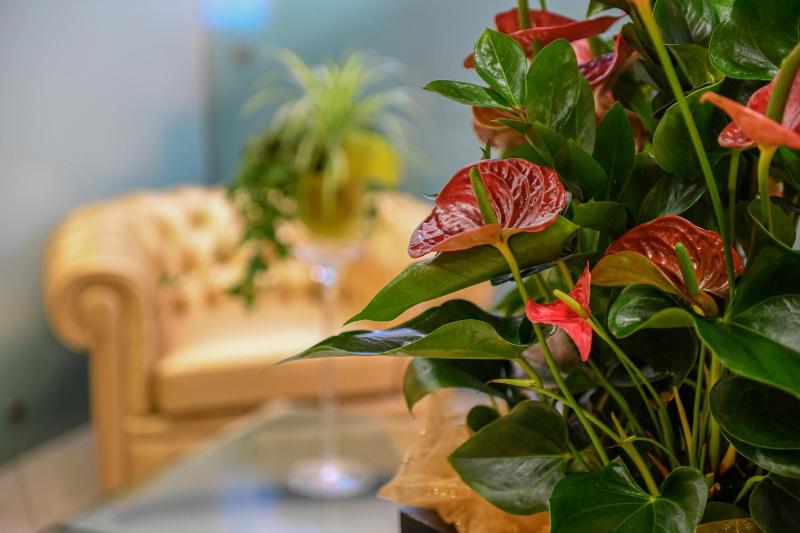 Central Park Hotel Modena - image 39