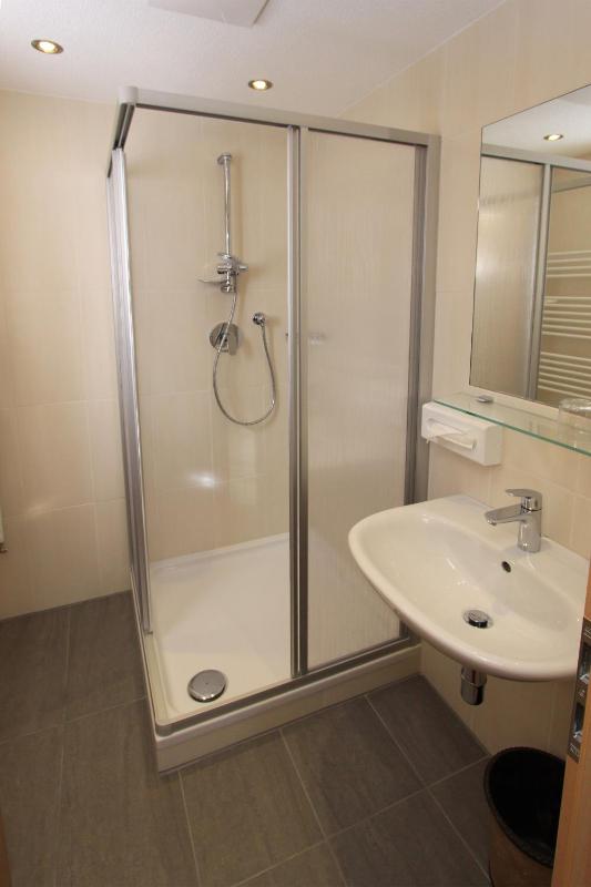 One-Bedroom Apartment image 2