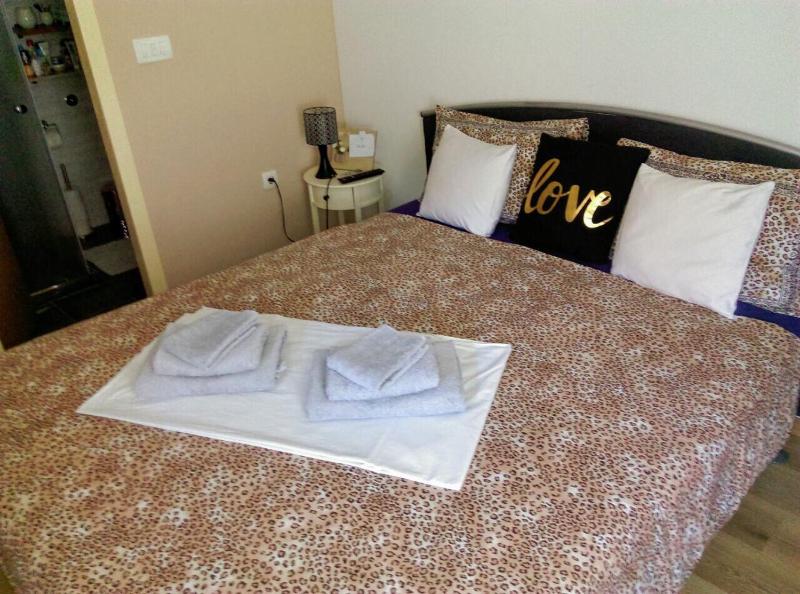 One-Bedroom Apartment image 4