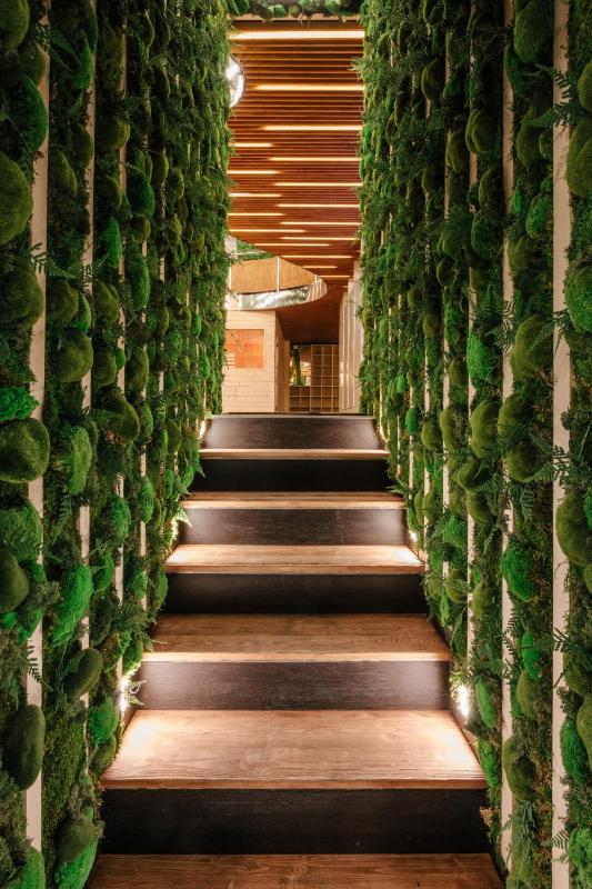 Wellness Rooms Central - image 3