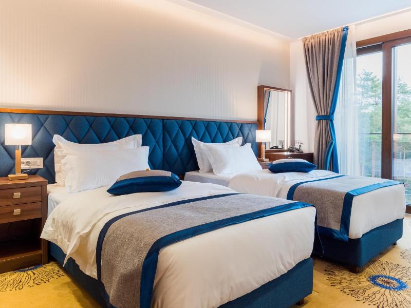 Superior Twin Room image 4