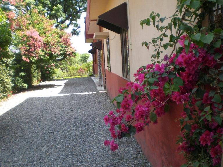 Oxygen Homestay-A Blissful Retreat - image 37