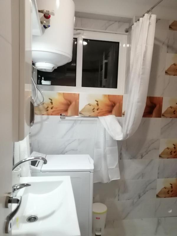 One-Bedroom Apartment image 4