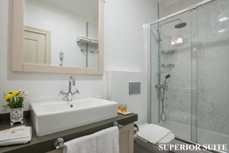 Superior Suite image 3
