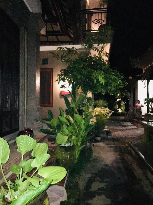 Wina Ubud B&B - image 14