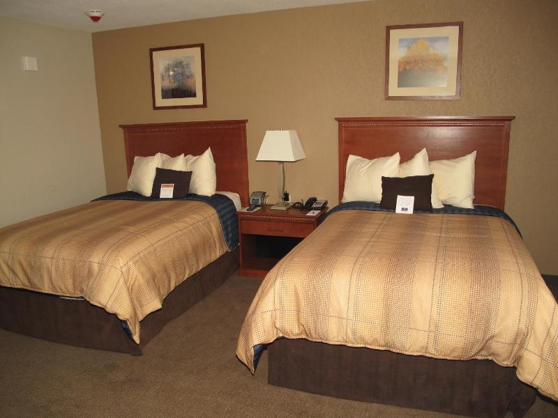 Studio Suite with Two Double Beds image 2