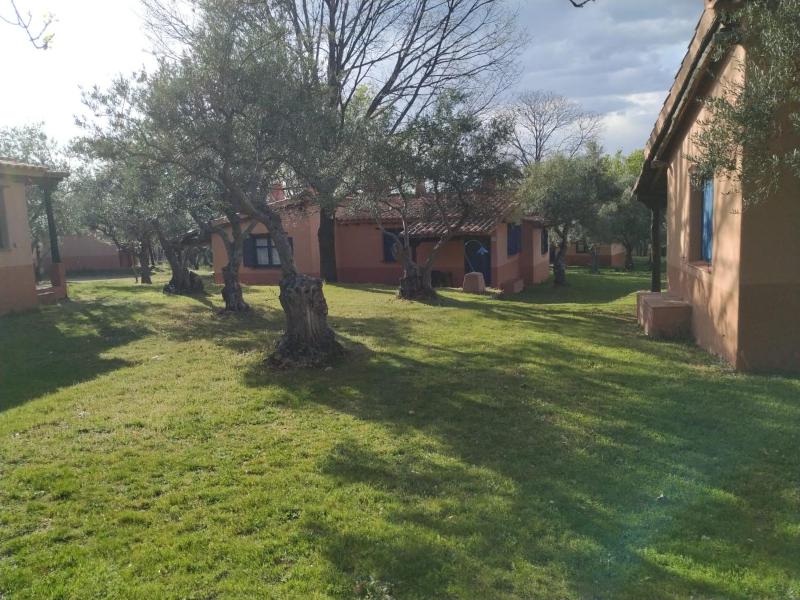 One-Bedroom Apartment image 2