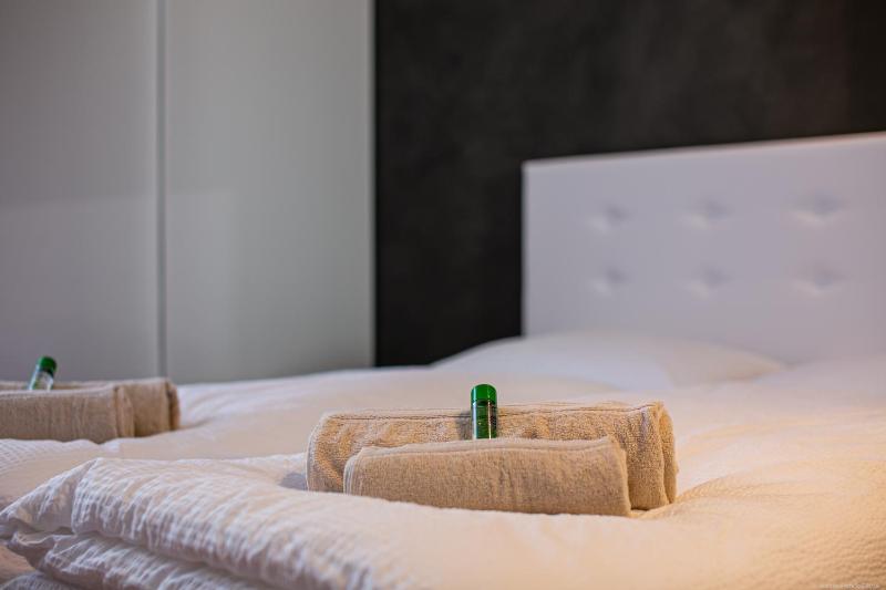 One-Bedroom Apartment image 4
