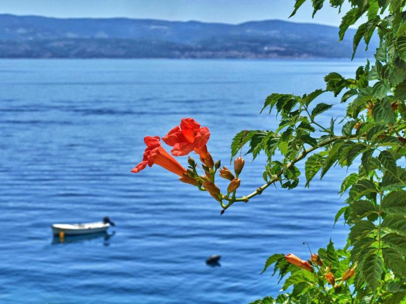 Studio with Sea View image 2