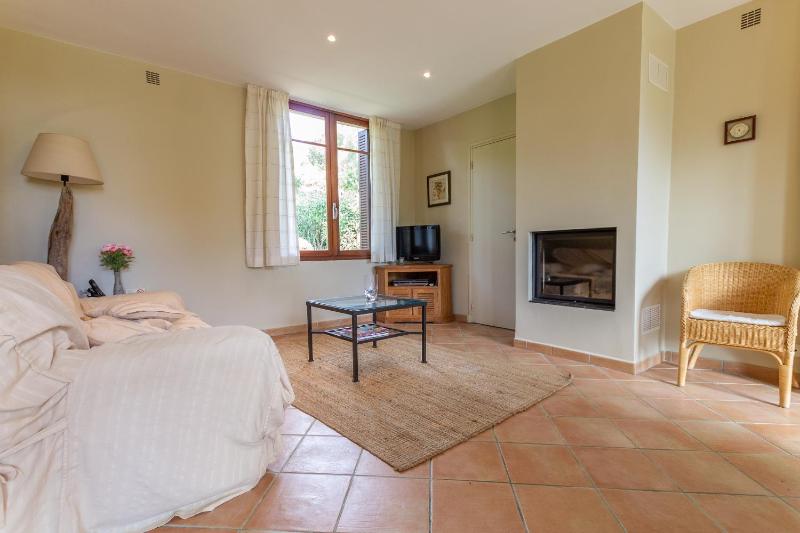 Les Eucalyptus - image 12