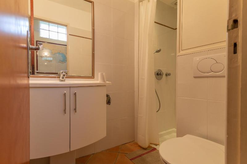 Les Eucalyptus - image 7