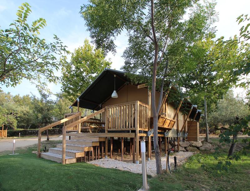 Tent (5 Adults) image 1