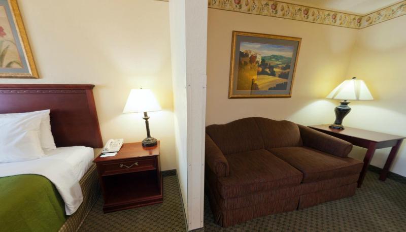 Studio Suite with One King Bed/Sofa Bed - Non Smoking image 3