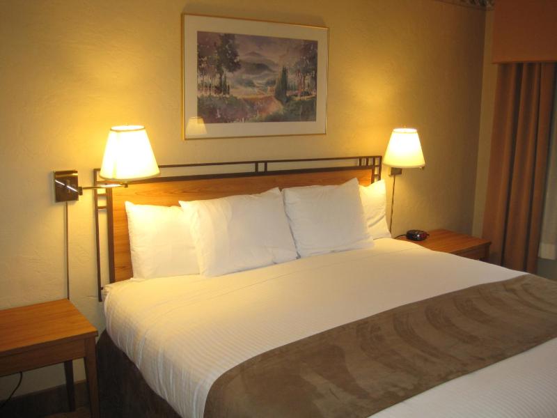 Travelodge by Wyndham Seattle By The Space Needle - image 16