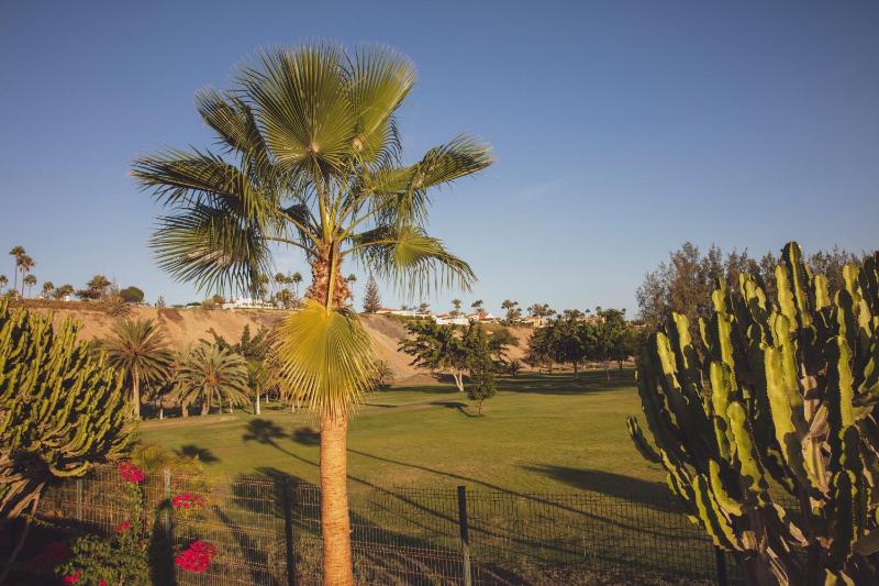 Vista Verde - Adults Only - image 12