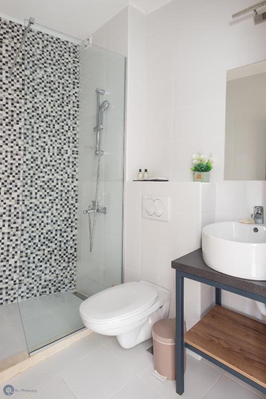 Studio Apartment image 3