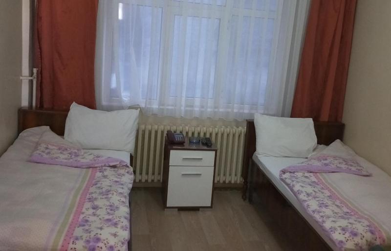 Economy Twin Room image 3