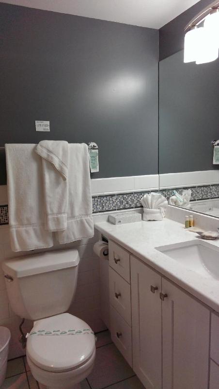 Luxury Suite image 2