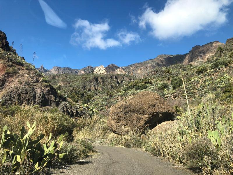 Finca Mariola - Alpendre - image 21