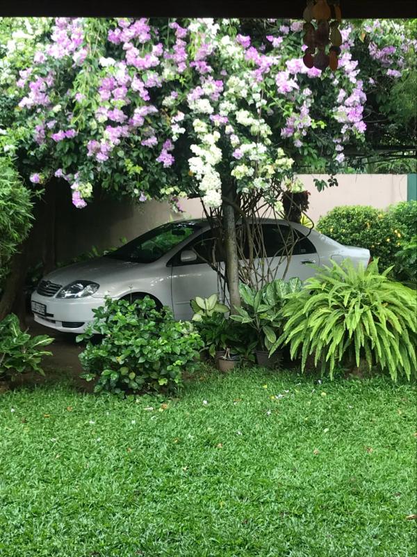Tangalle Green House - image 12