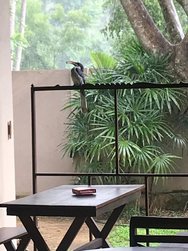 Tangalle Green House - image 7