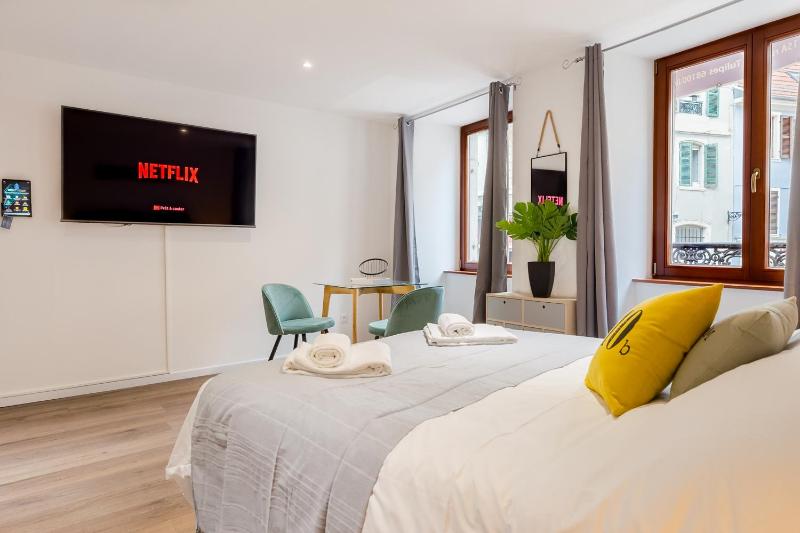 Travel Homes - L'Arsenal studios en hyper centre - image 7