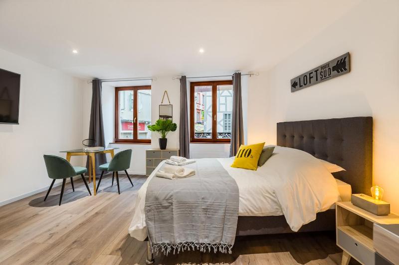 Travel Homes - L'Arsenal studios en hyper centre - image 16
