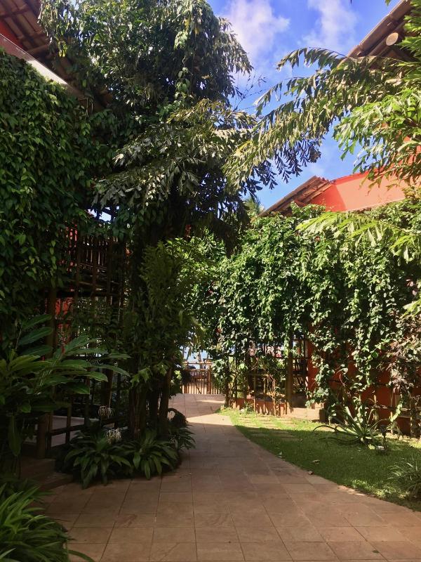 Concha Tropical Flat - image 38