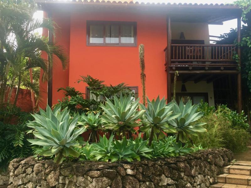 Concha Tropical Flat - image 22