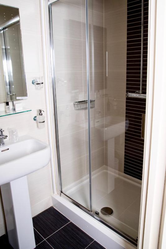 Single Room image 1