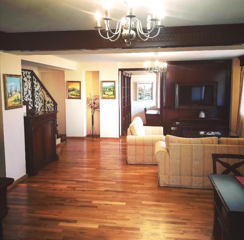 Penthouse Renașterii Amazonia - image 16