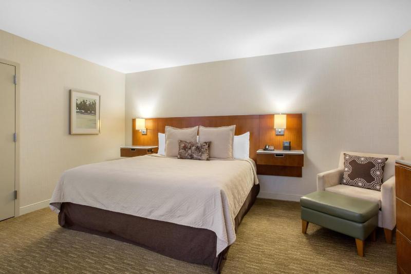 ADA Deluxe Room with 1 King Bed with Roll in Shower image 4