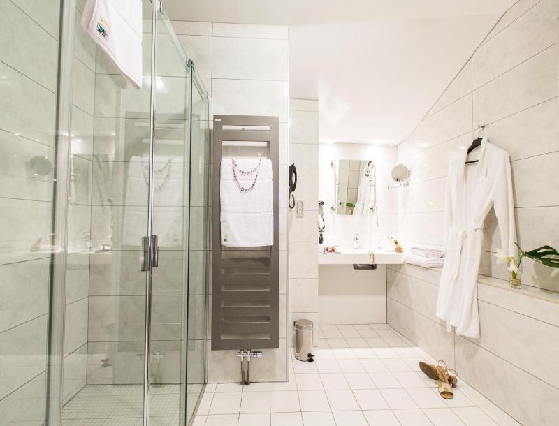 Hôtel Spa Marotte - image 10