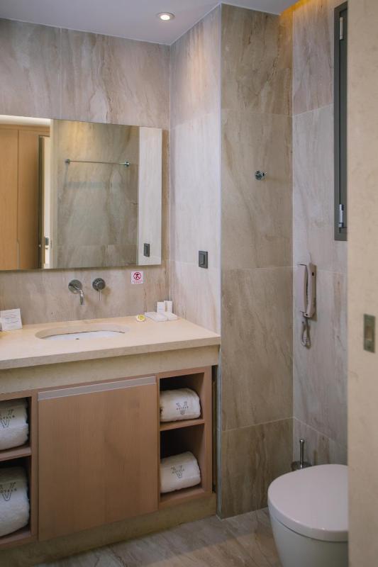 Junior Suite Open Plan - Swim up image 4