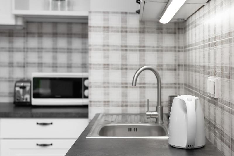 One-Bedroom Apartment image 4