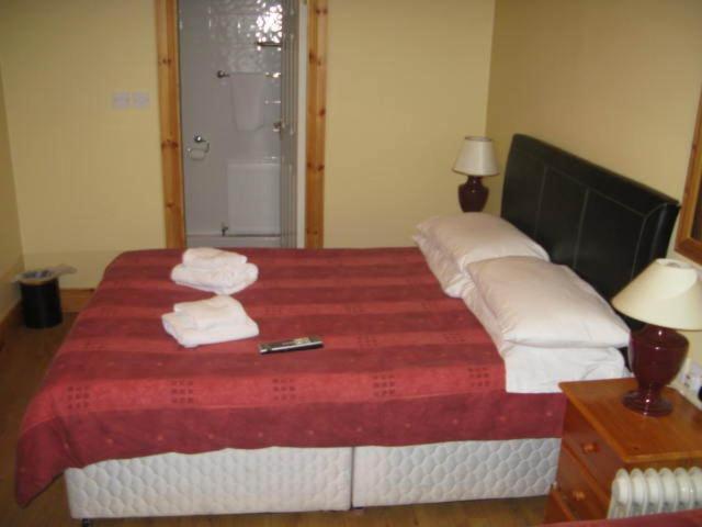 Dun Aoibhinn Guest Accommodation - image 4