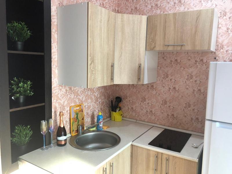 One-Bedroom Apartment image 2