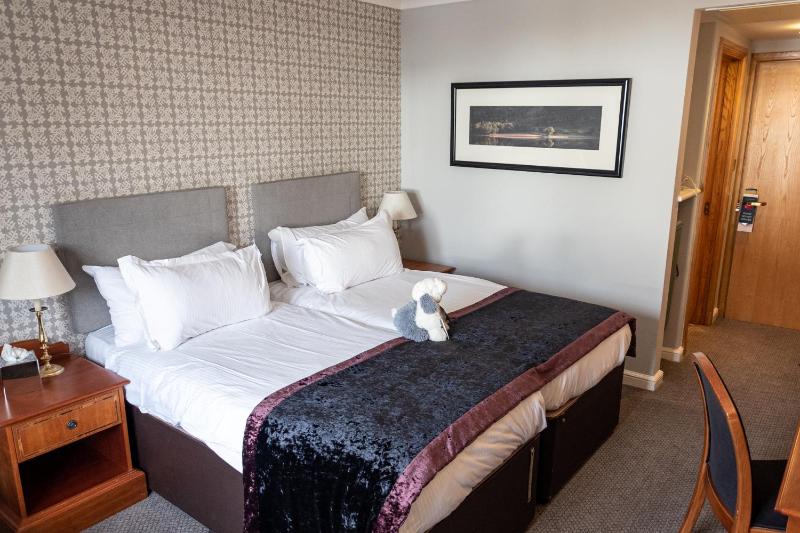 Willow Double or Twin Room image 3
