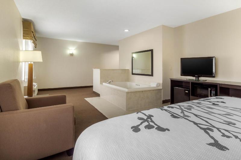 King Suite - Non-Smoking image 4