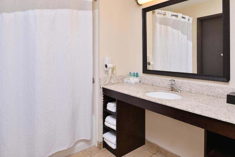 King Room with Roll-In Shower - Disability Access image 2