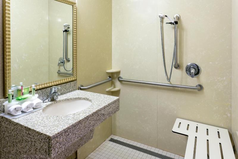 King Room with Roll-In Shower - Disability Access image 2