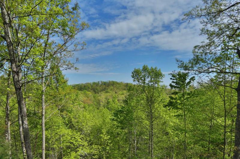Balsam Mist Lodge - image 16