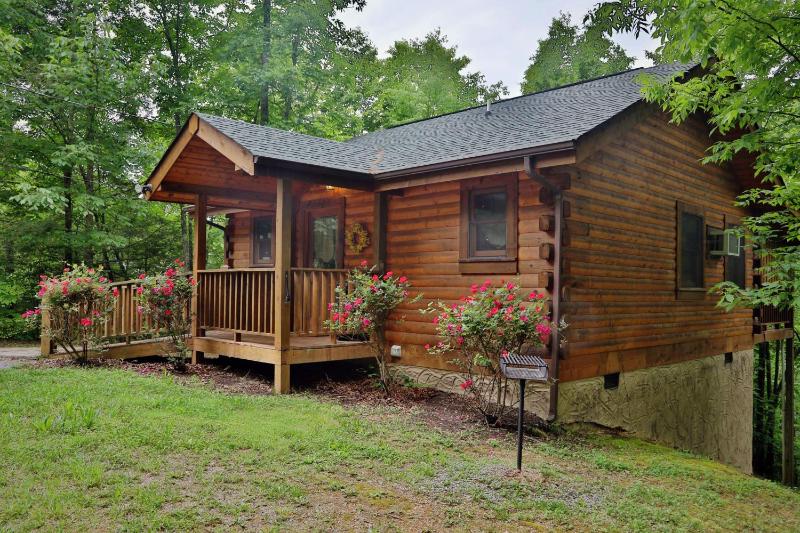 Chalet image 1