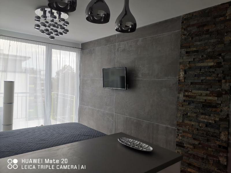 One-Bedroom Apartment image 3
