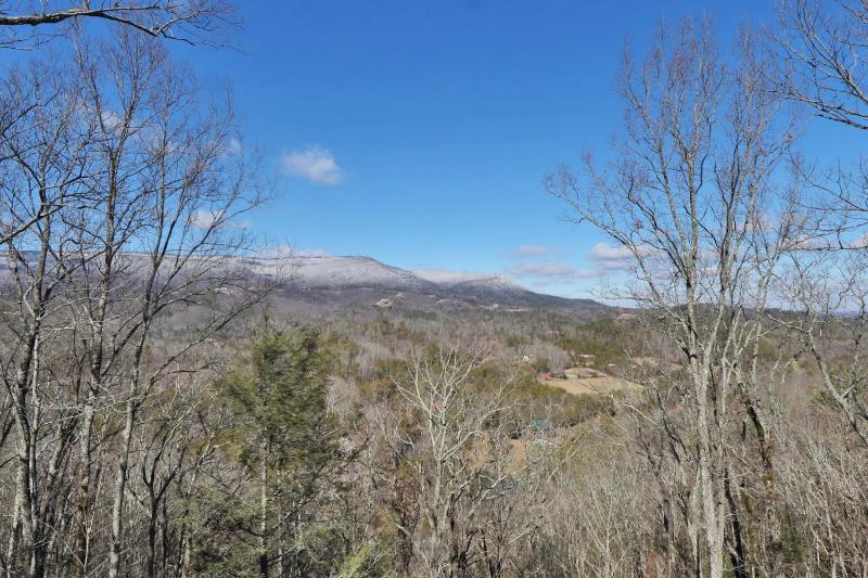 Falcon's View - image 6
