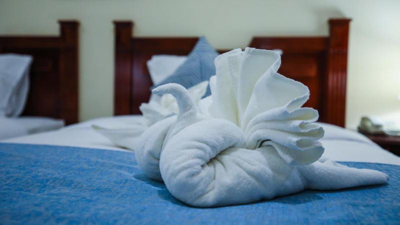 Deluxe Double or Twin Room image 1