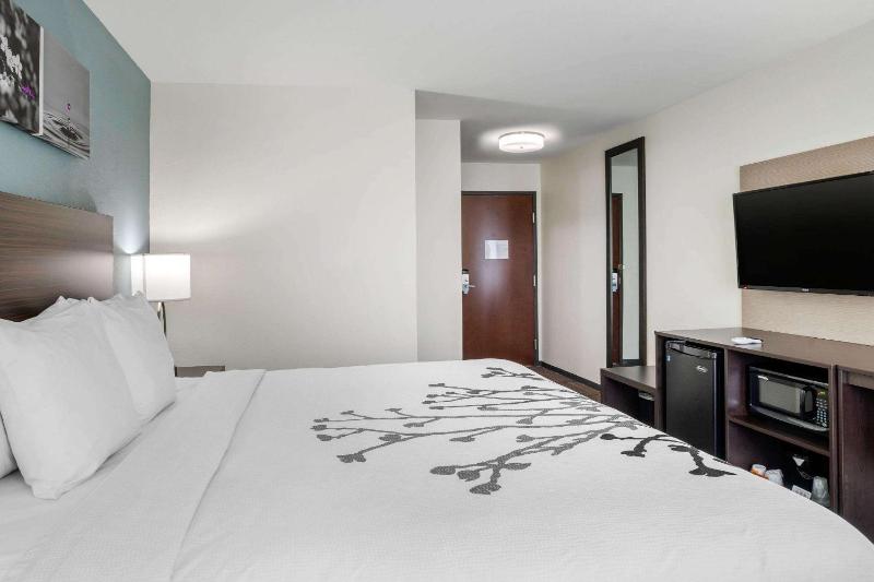 King Room with Bath Tub - Non-Smoking image 3
