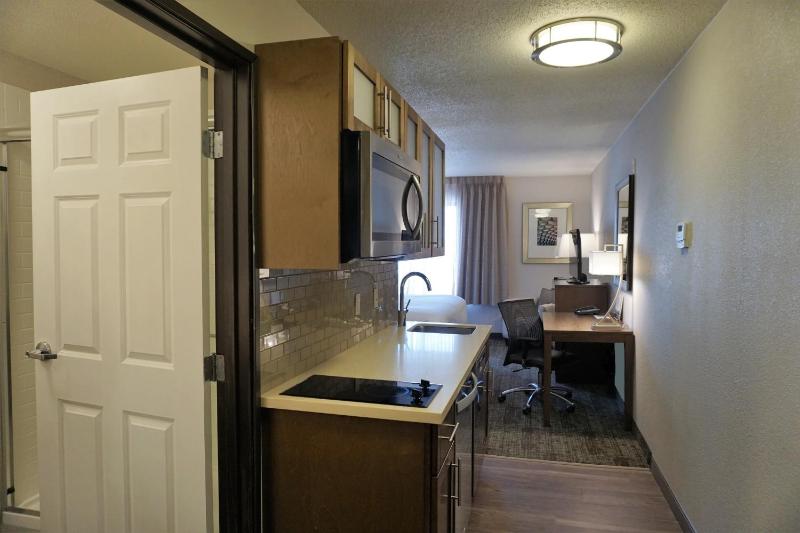King Studio Suite image 2
