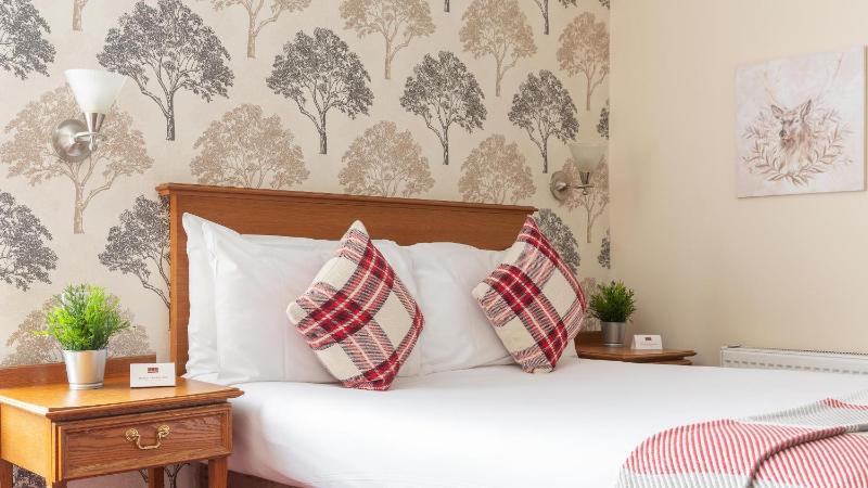 Standard Double Room image 3