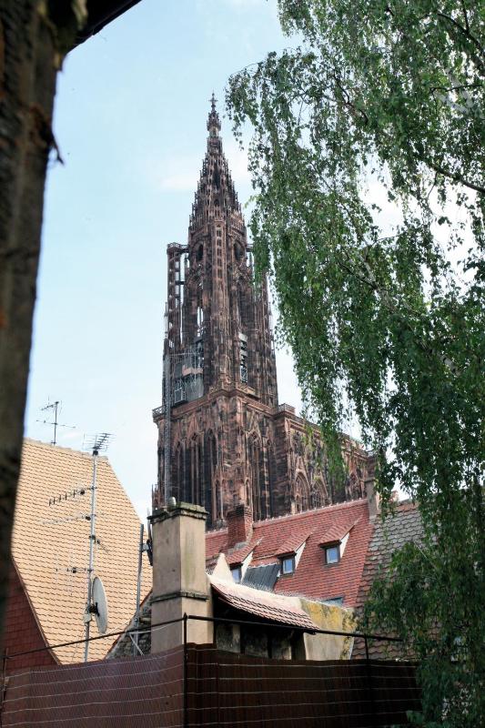 Two-Bedroom Apartment - Fourth Floor image 4